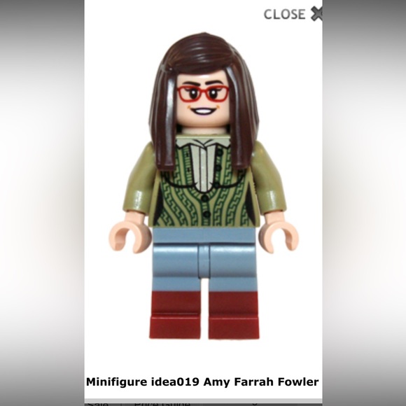 Lego 21302 🧨 - Picture 11 of 13